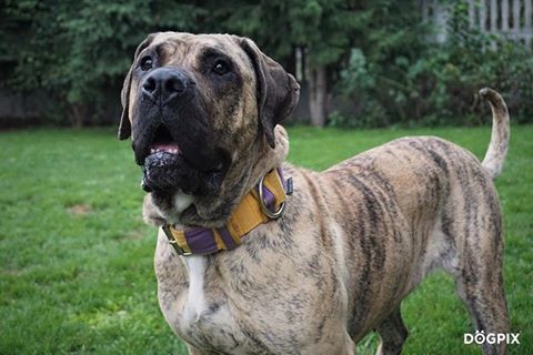 Hej Ciocie i Wujaszkowie !